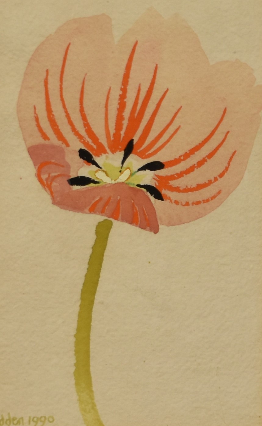 Mary Fedden (1915-2012, British), watercolour on paper, Pink Flower, signed to the lower left and