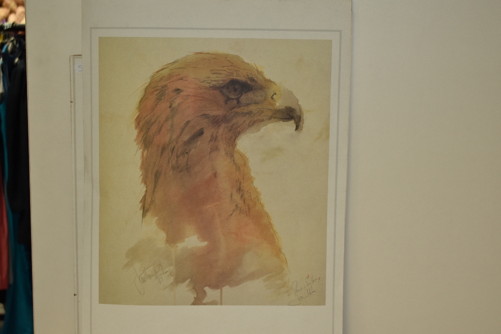 After Jonathan Poole (20th Century), artist's proof, A head study of an eagle, unframed, mounted - Image 6 of 6