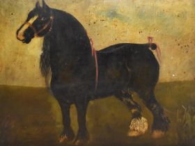 19th/20th Century, oil on board, A portrait of a shire horse, framed, measuring 38cm x 48cm, &