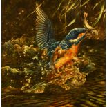Michael J. Loates (b.1947, British), watercolour, Kingfisher and trout, signed and dated 1982 to the