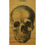 20th Century, print, 'The Skull, Anterior View of Skull', from the Cavellini Papers & Co., framed,