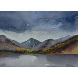 *Local Interest - Maggie d'Silva (Contemporary, British), watercolours, Three Lake District
