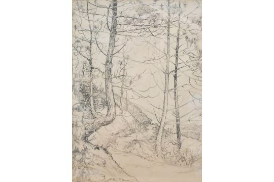 Arthur Creed Hambley (British 1900-1973) pencil drawing, woodland path, signed lower off centre in - Image 1 of 4