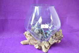 A contemporary Indonesian planter, hand crafted from root wood with a moulded transparent glass