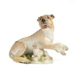 A MEISSEN GROUP OF A LIONESS AND CUB, CIRCA 1745-50