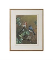 DAVID MORRISON REID HENRY (1919 - 1977) A Robin and Other Birds Watercolour, 36 x 26cm Signed