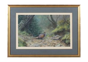 DAVID MORRISON REID HENRY (1919 - 1977) Old English Pheasants Watercolour, 30 x 50cm Signed