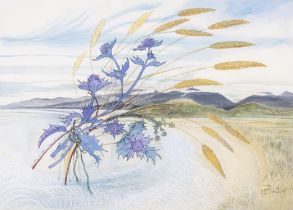 Pauline Bewick (1935-2022) Sea Holly and Marram Grass at Rossbeigh Watercolour, 70.5x 91.5cm (27.