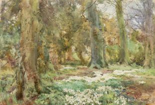 Mildred Anne Butler RWS (1858-1941) The Woods in Springtime, 1929 Watercolour, 35.5 x 53.