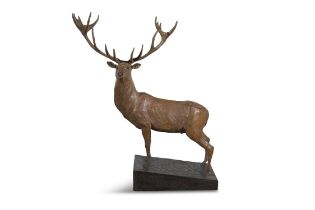 Eamon O'Doherty (1939-2011) Irish Red Deer (2010) Bronze, 65 x 17.5 x 74cm (h) (25½ x 6¾ x