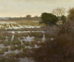 Paul Kelly (b.1968) After the Rain Oil on board, 25 x 30cm (9¾ x