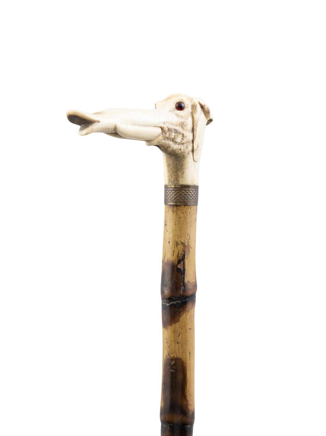 *A WOODEN WALKING CANE, with carved stag antler handle with an elephant head, gilt metal collar, - Image 2 of 3