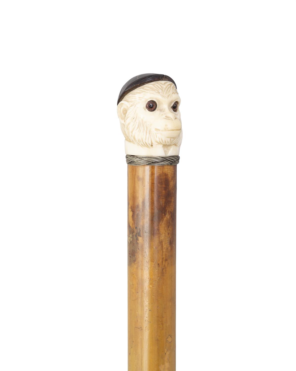*A WALKING CANE, with a carved ivory 'fist handle' top in the shape of monkey's head, - Image 2 of 3