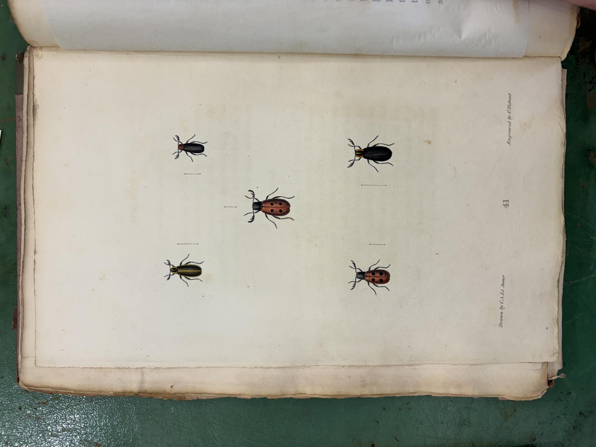 SAY, Thomas [1787-1834] American Entomology or Descriptions of the insects of North America, - Image 12 of 22