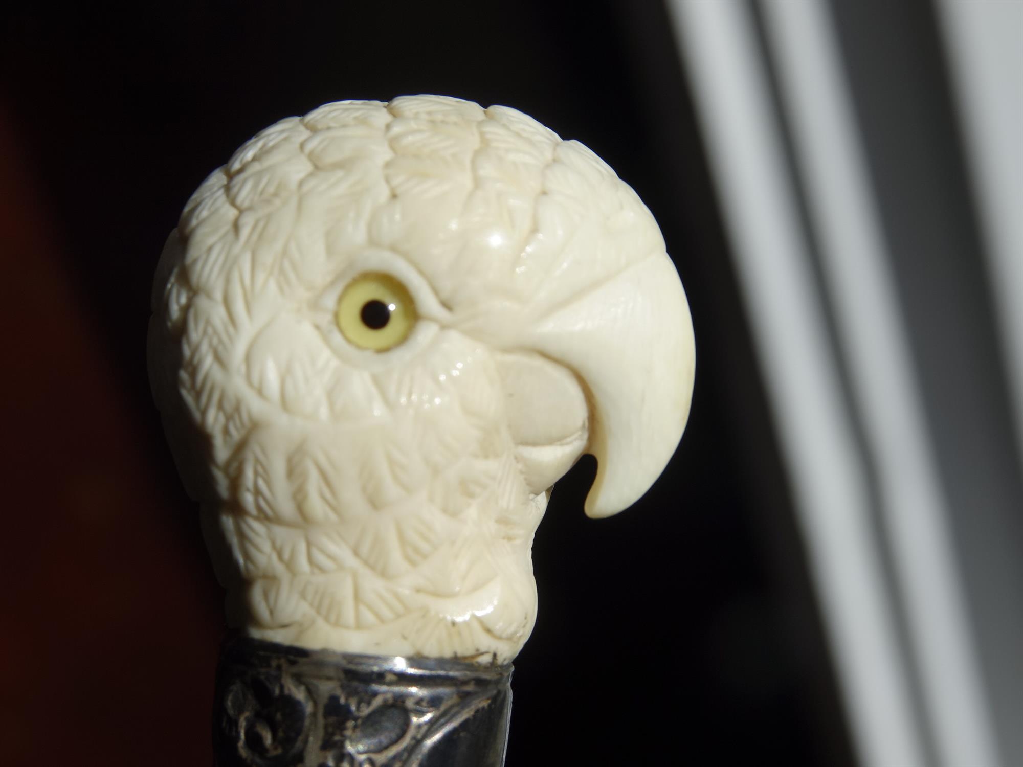 *A WALKING CANE, 19TH CENTURY with carved ivory 'fist handle' top in the shape of parrot's head, - Image 5 of 12