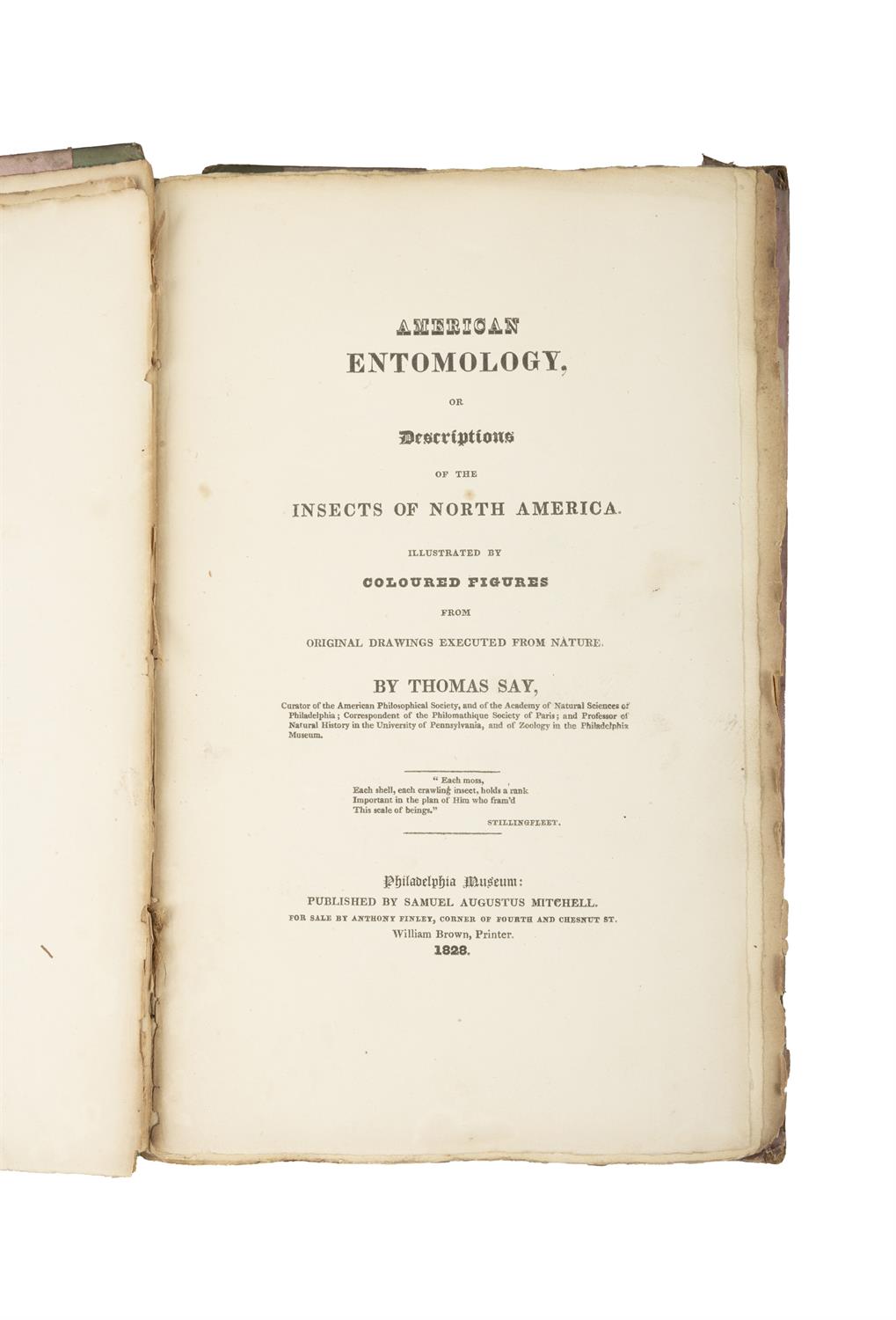 SAY, Thomas [1787-1834] American Entomology or Descriptions of the insects of North America, - Image 3 of 22