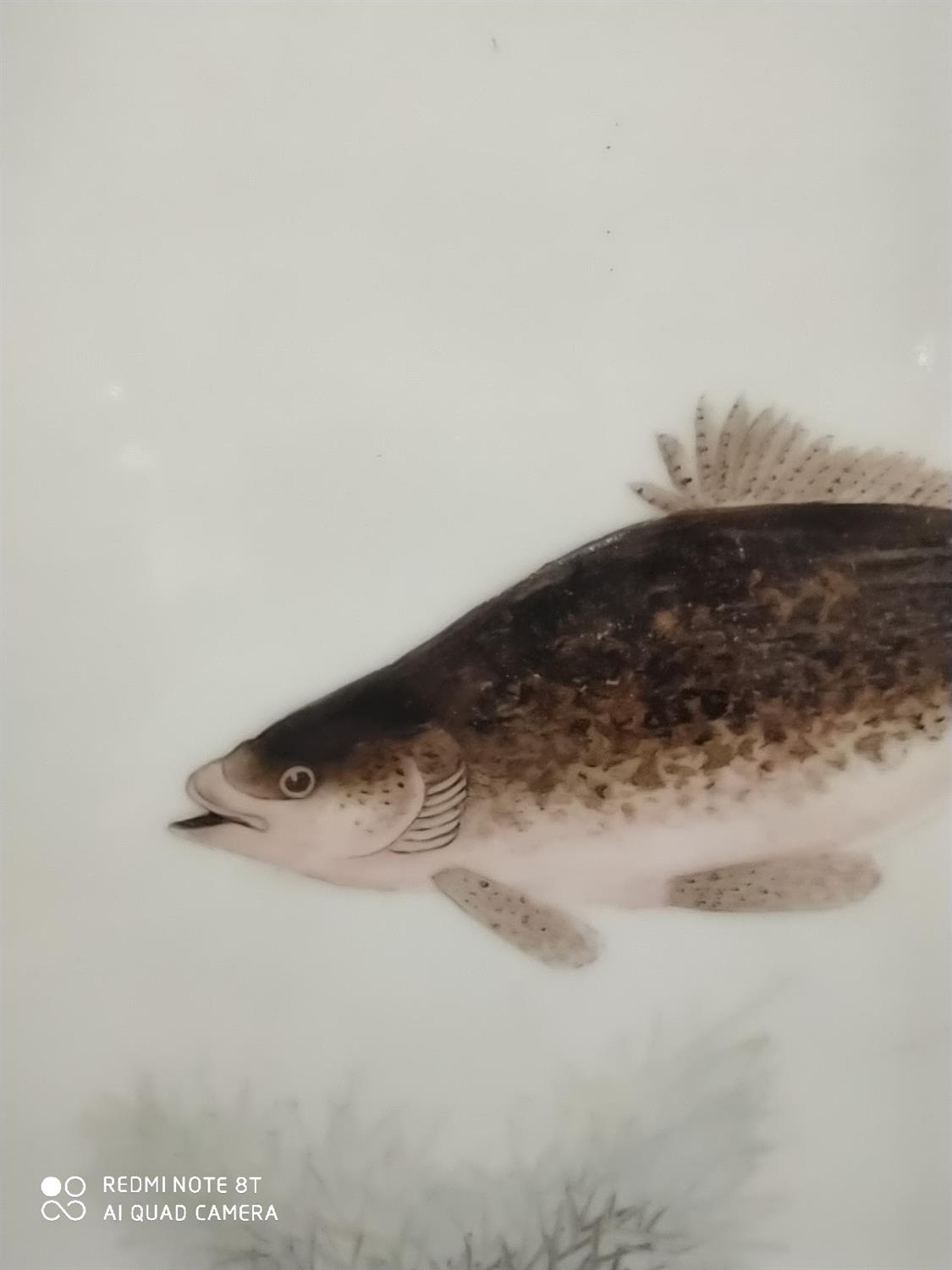 A ‘FISH’ PORCELAIN PLAQUE IN THE MANNER OF DENG BISHAN China, 20th century Inscribed with - Image 24 of 37