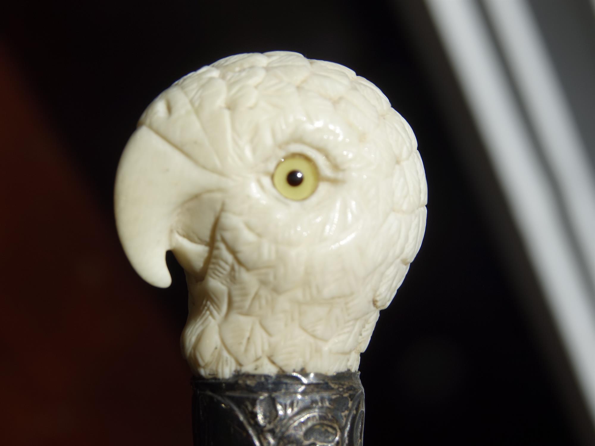 *A WALKING CANE, 19TH CENTURY with carved ivory 'fist handle' top in the shape of parrot's head, - Image 6 of 12