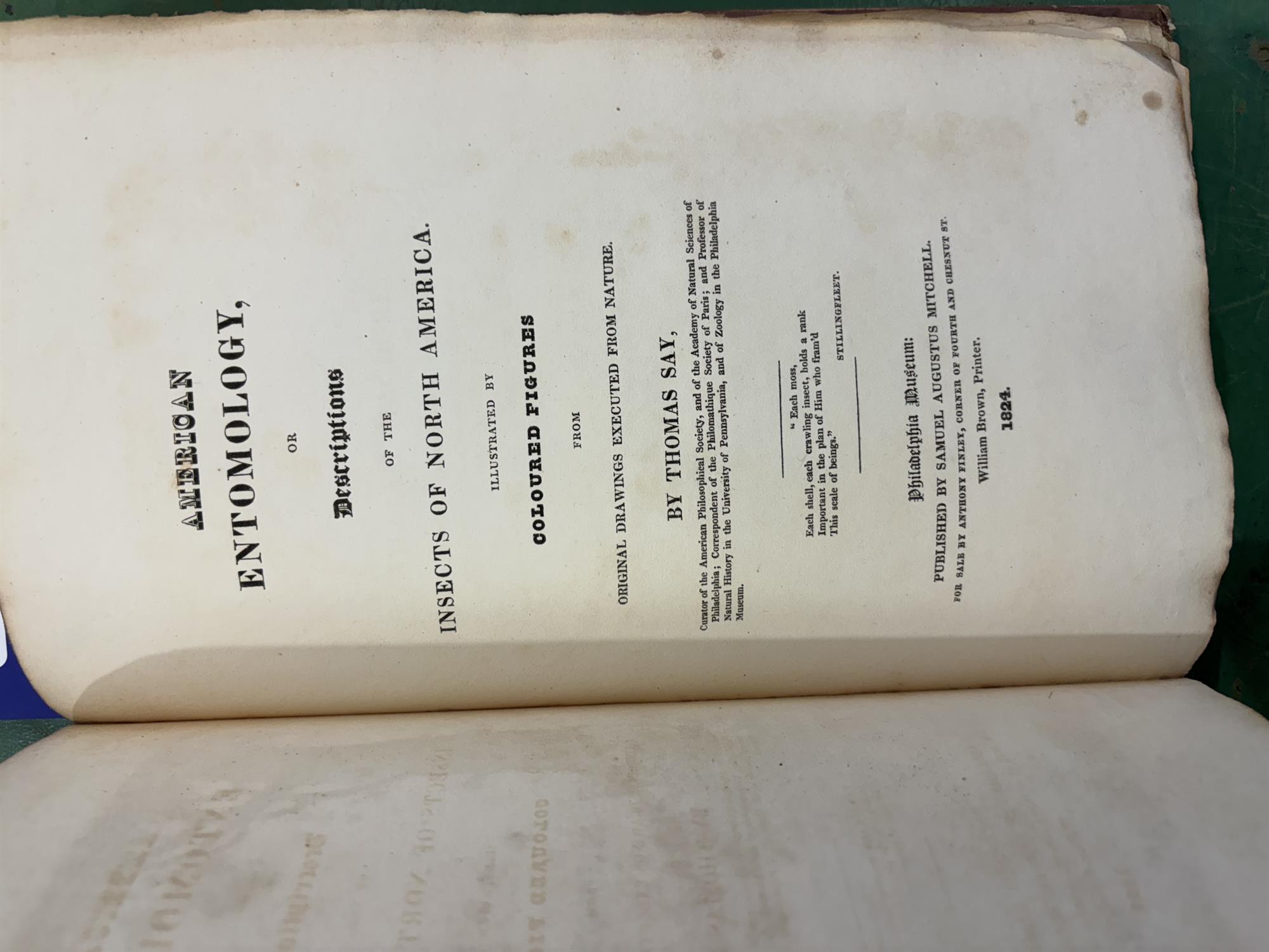 SAY, Thomas [1787-1834] American Entomology or Descriptions of the insects of North America, - Image 21 of 22