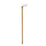*A WALKING CANE, 19TH CENTURY with a plain ivory handle and silver collar, Birmingham, mark J H,