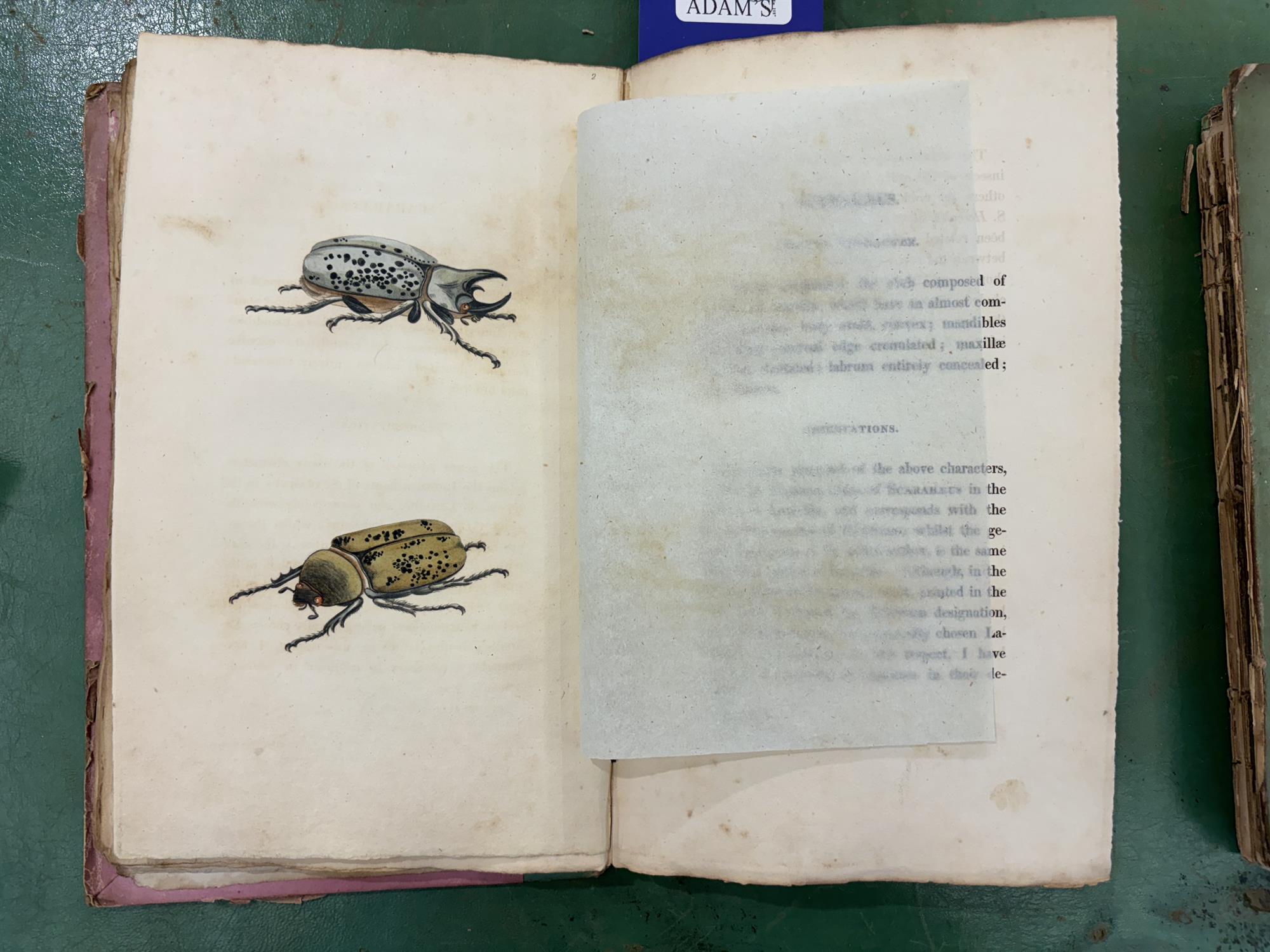 SAY, Thomas [1787-1834] American Entomology or Descriptions of the insects of North America, - Image 17 of 22