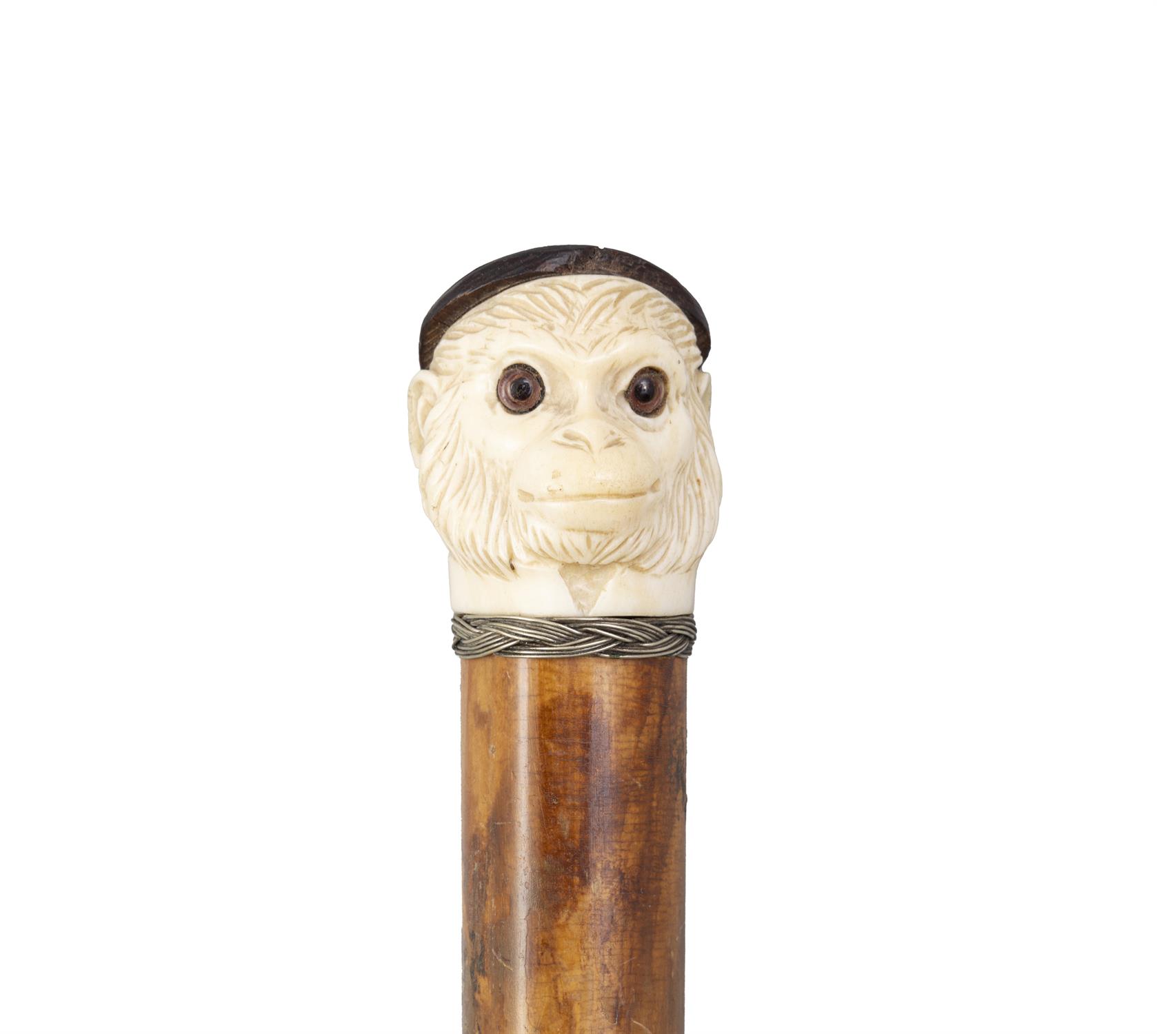 *A WALKING CANE, with a carved ivory 'fist handle' top in the shape of monkey's head, - Image 3 of 3