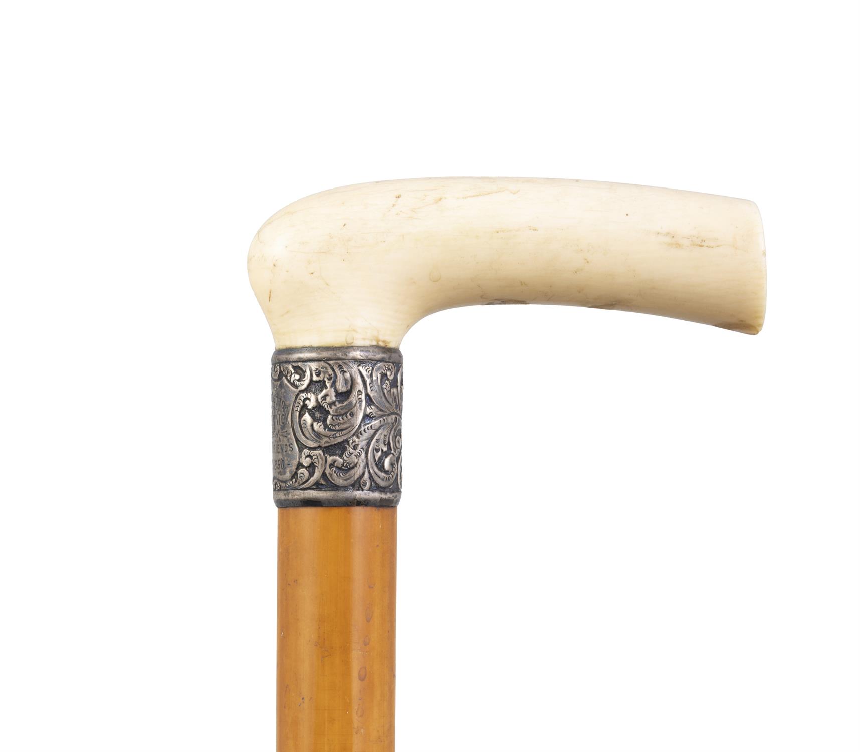 *A WALKING CANE, 19TH CENTURY with a plain ivory handle and silver collar, Birmingham, mark J H, - Image 2 of 3