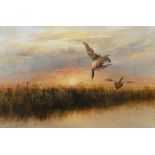 Andrew Nicholl RHA (1804-1886) Ducks over Wetlands Watercolour, 35 x 54cm (13¾ x 21¼") Signed