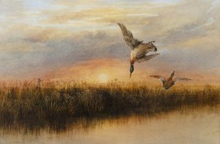 Andrew Nicholl RHA (1804-1886) Ducks over Wetlands Watercolour, 35 x 54cm (13¾ x 21¼") Signed