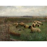 Walter Frederick Osborne RHA (1859 - 1903) Sheep in a Field Oil on canvas, 36 x 47cm (14¼ x