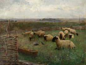 Walter Frederick Osborne RHA (1859 - 1903) Sheep in a Field Oil on canvas, 36 x 47cm (14¼ x