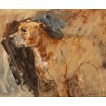 Basil Blackshaw (1932-2016) Dog Oil on board, 34 x 43cm (13¼ x 17'') Signed