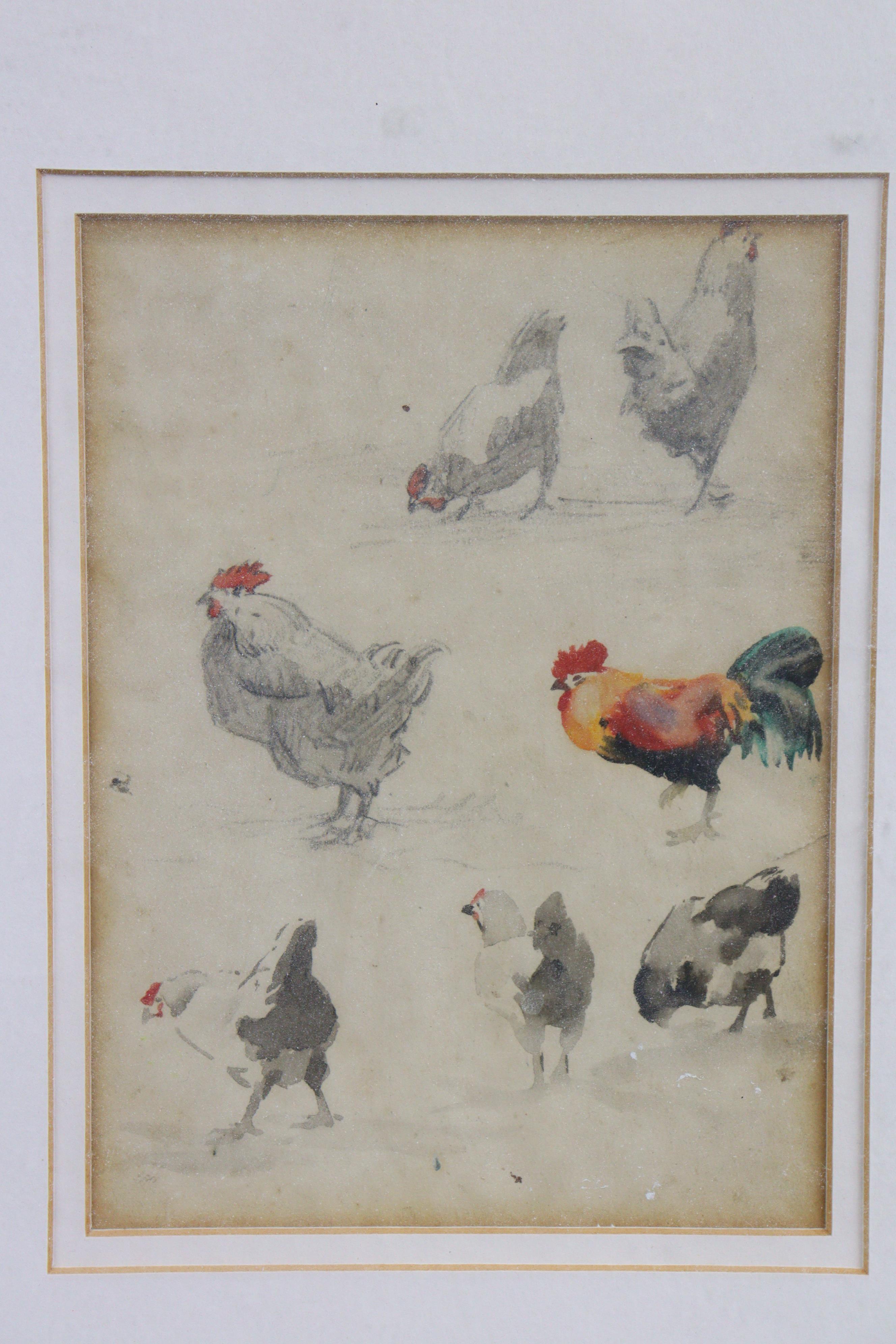 JOHN GUTTRIDGE SYKES (1866-1941). Three sketches of chickens, circa. 1930, pencil & watercolour, - Image 4 of 5