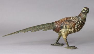 A late 19th/early 20th century Austrian large cold-painted model of a pheasant, in the manner of