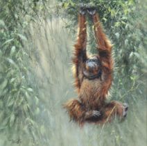 TONY FORREST (b. 1961). “Swinging Borneo”, signed lower left & inscribed verso, oil on canvas,