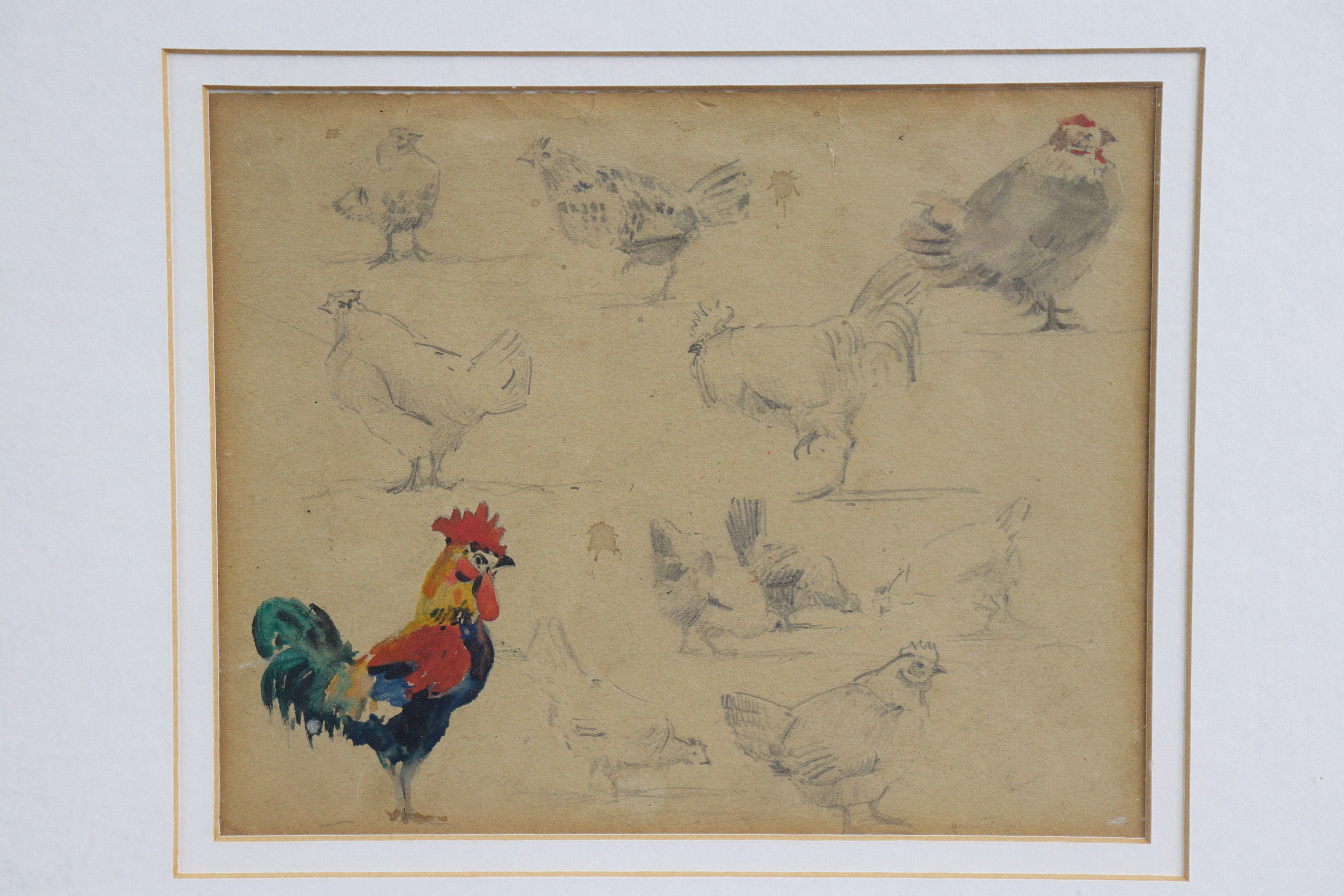 JOHN GUTTRIDGE SYKES (1866-1941). Three sketches of chickens, circa. 1930, pencil & watercolour, - Image 3 of 5