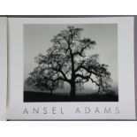 Nine photographic prints after Ansel Adams; & another coloured print, (various sizes), all unframed.
