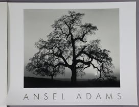 Nine photographic prints after Ansel Adams; & another coloured print, (various sizes), all unframed.