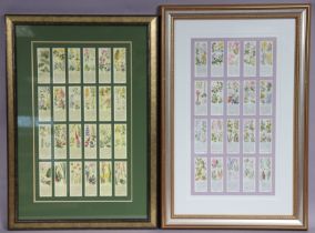 Two displays of Ty-Phoo “Flowers In Their Families” tea cards, each display containing twenty cards,