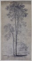 ENGLISH SCHOOL, late 18th century. A pencil study of lime trees, 38cm x 19cm (approx), in glazed