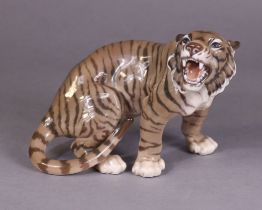 A Danish porcelain (Dahl-Jensen) model of a roaring tiger; 7.5cm high x 22cm wide.
