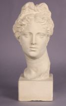 A 20th century plaster bust of Apollo Belvedere, after the antique, on rectangular base, 42cm high.