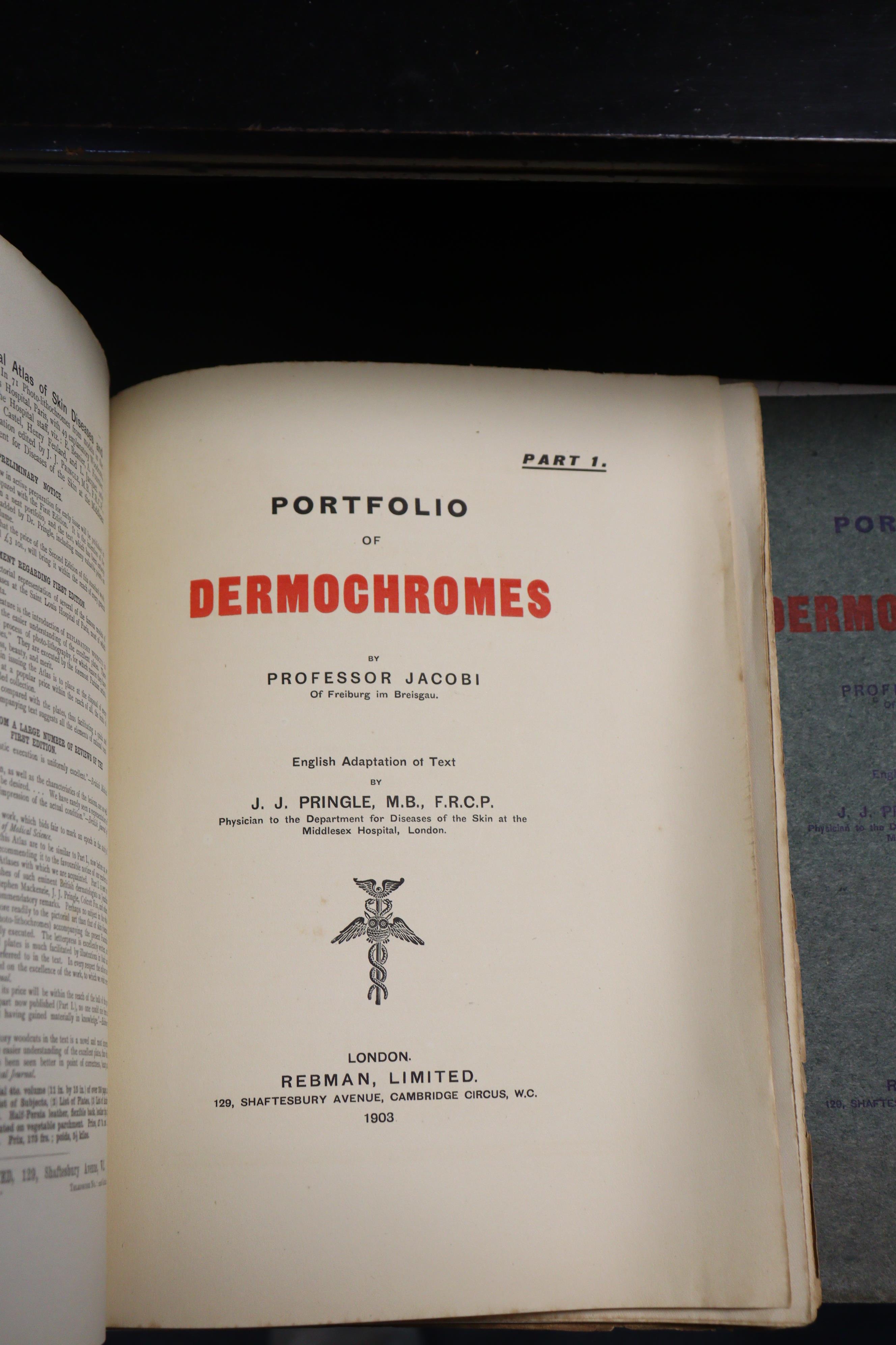 A set of four early 20th century “portfolios of Demochromes” by Professor Jacobi (1903), together - Image 2 of 7