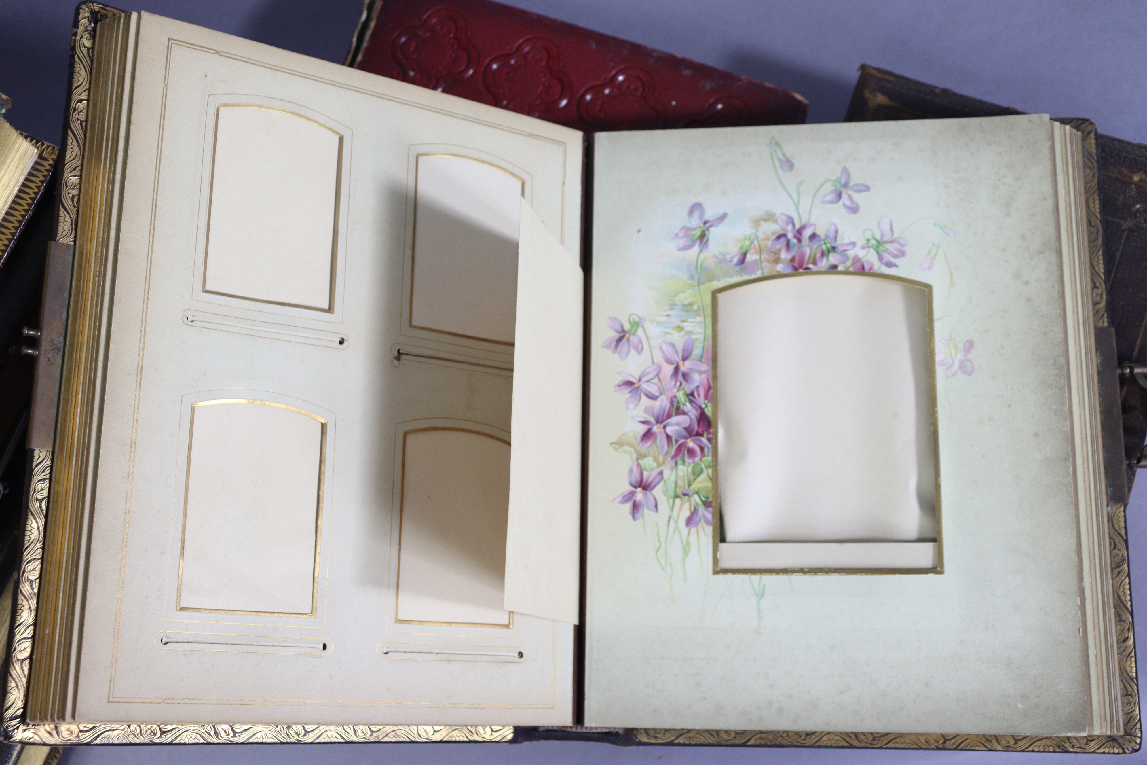 Seven Victorian Morocco leather covered photograph albums. - Image 8 of 8