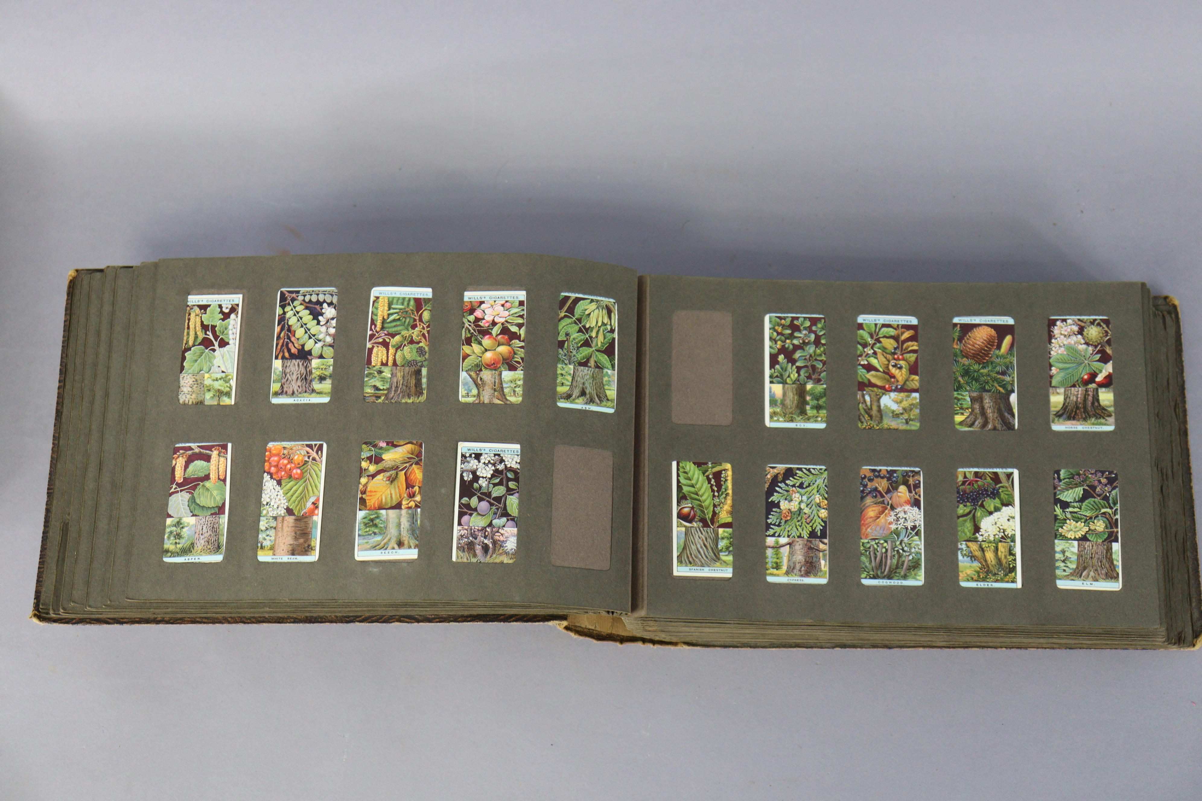 A vintage album of mixed cigarette cards including a set of Mitchell’s “Our Empire” cards; a set - Image 8 of 16