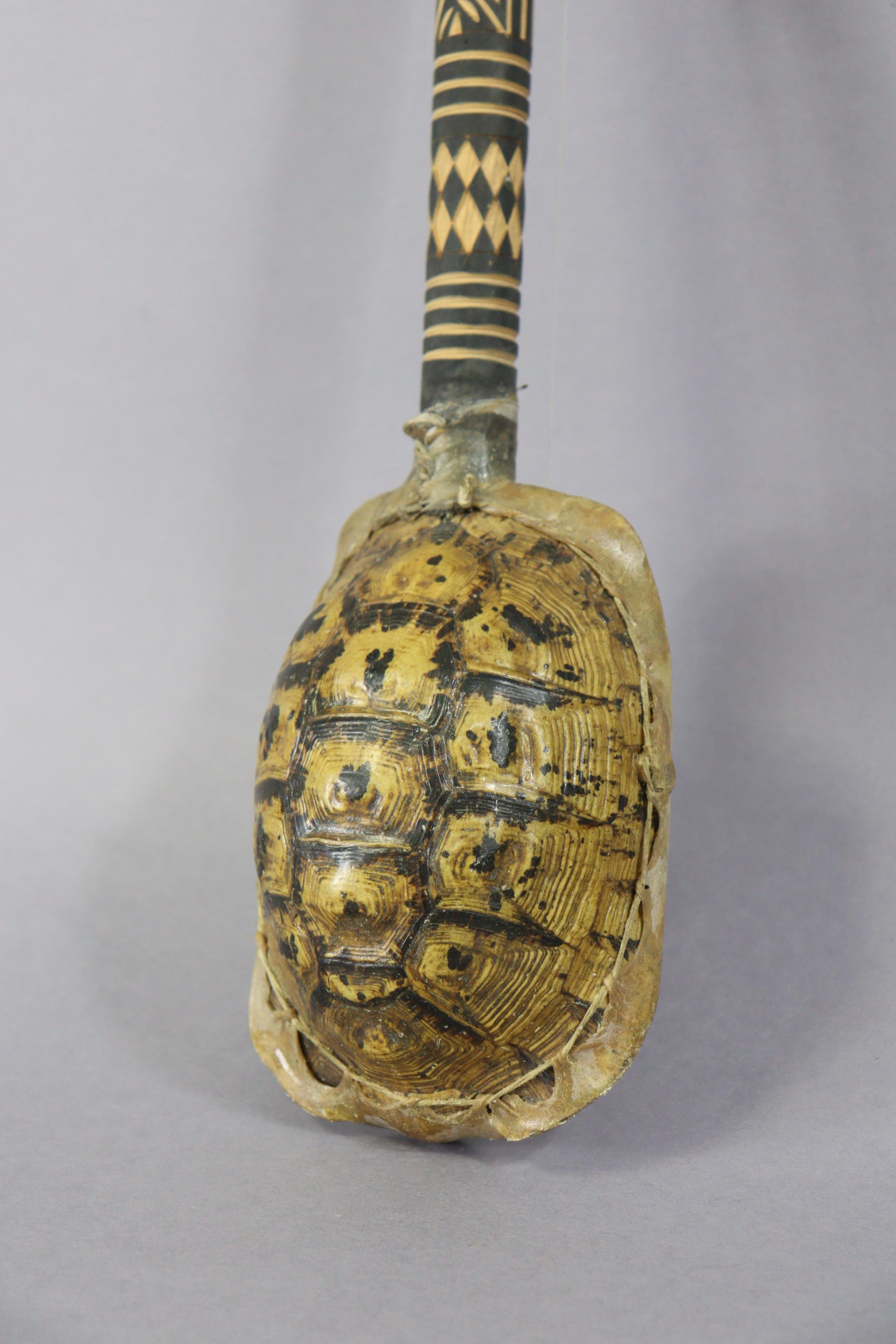 An African turtle-shell three-string Gunibri, 53cm long. - Image 3 of 4