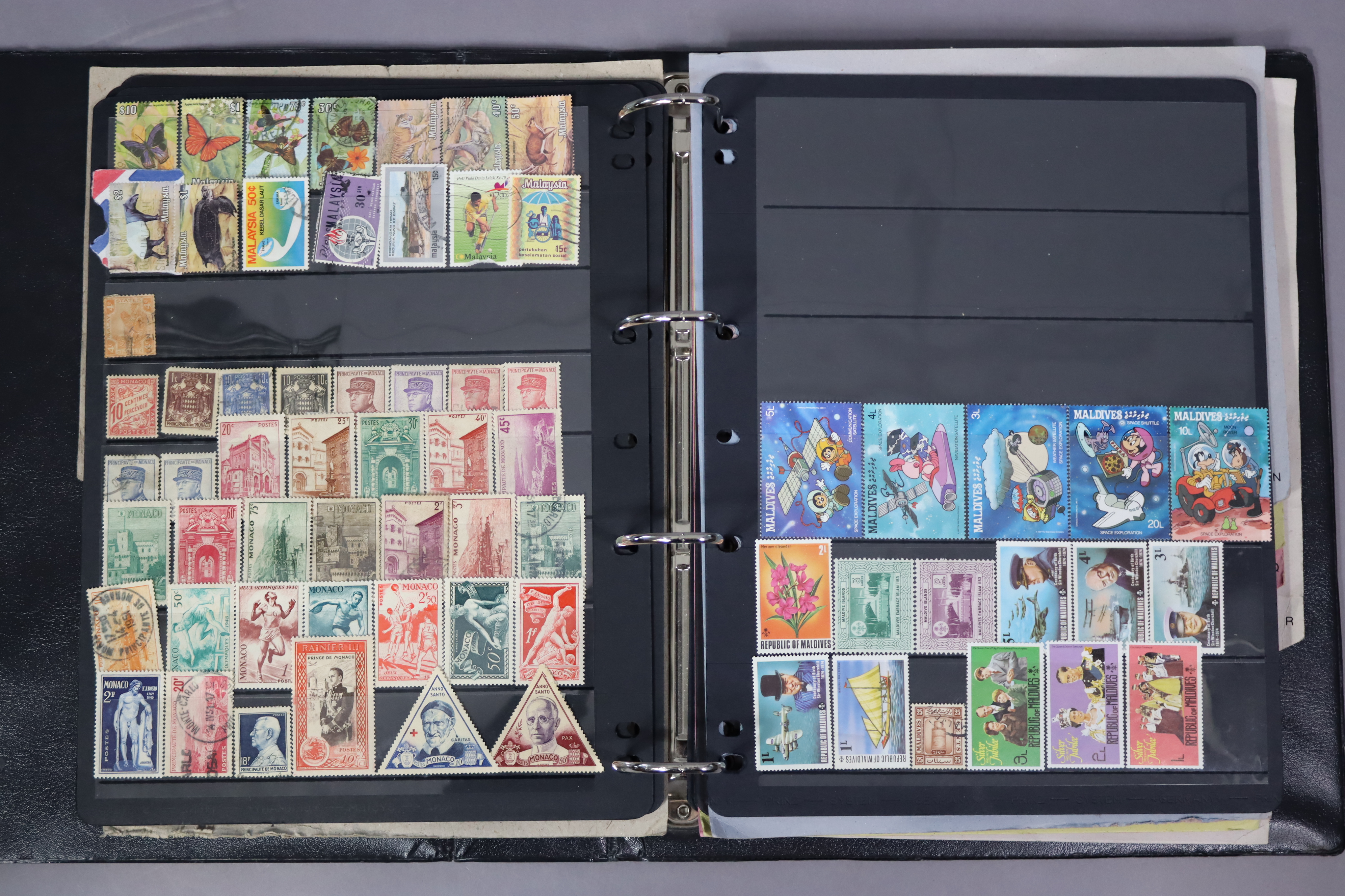 A collection of commonwealth & world stamps on stock leaves, in three ring-binder albums. - Image 4 of 4