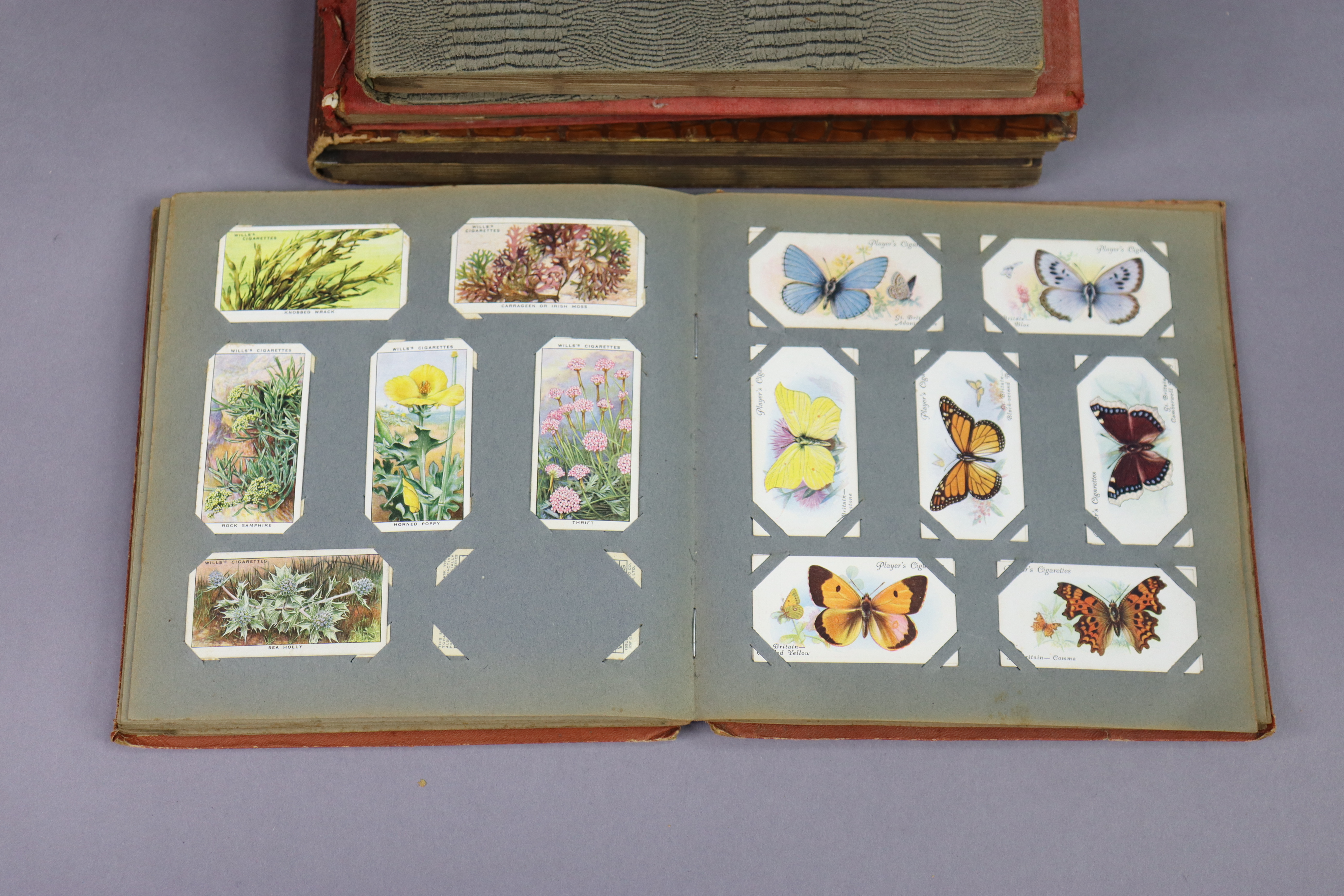Nine albums & contents of part-sets of various cigarette cards. - Image 7 of 10