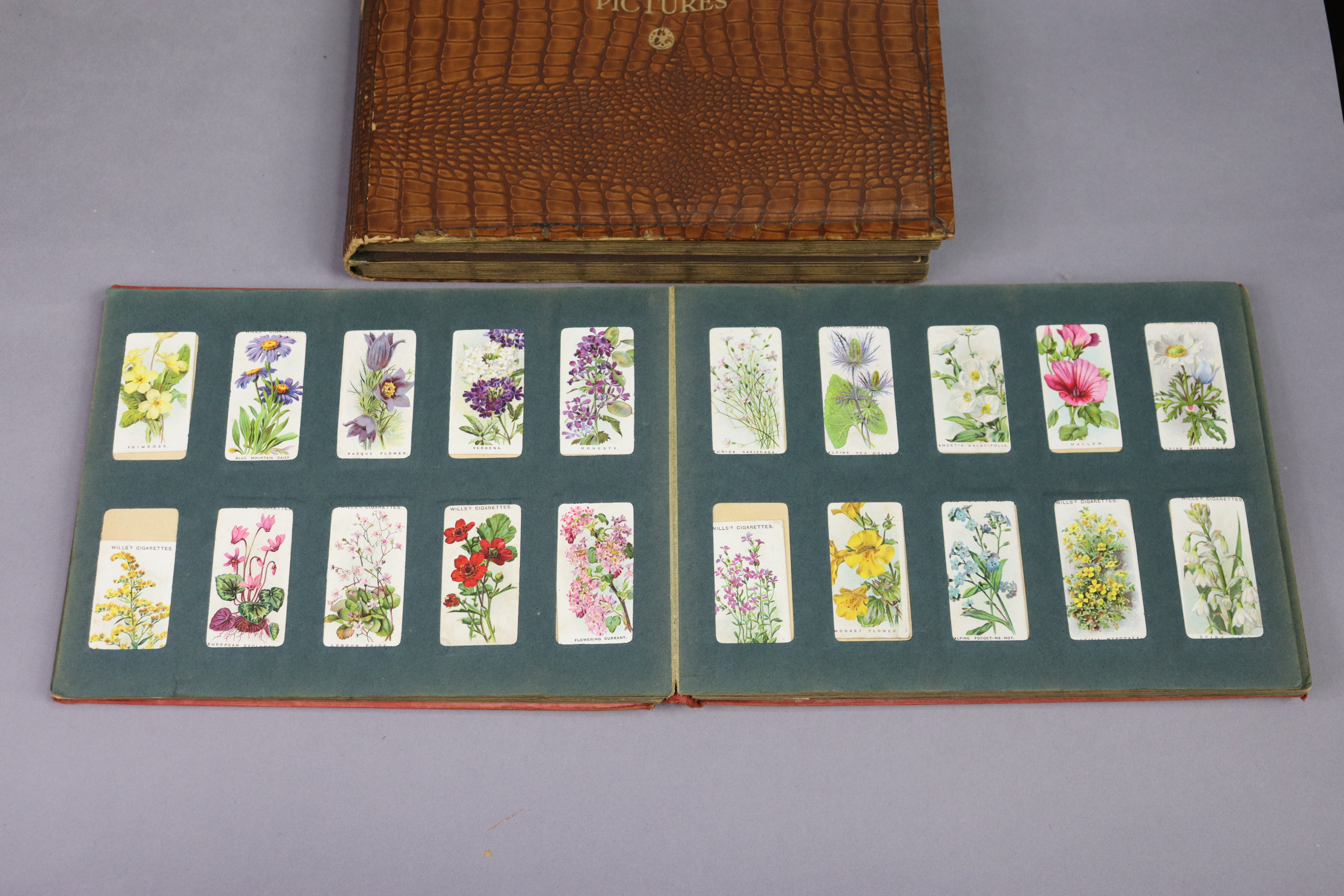 Nine albums & contents of part-sets of various cigarette cards. - Image 9 of 10