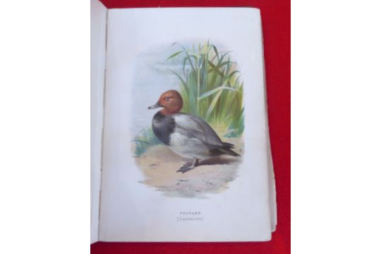 Six bird related books, mainly late 19thC: to include works after Thorburn, William Yarrell, - Image 8 of 21